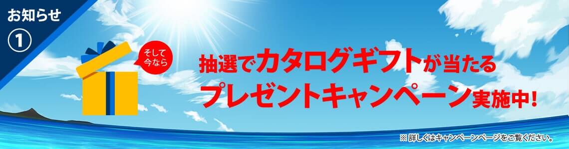 ドリームウェイ カタログギフト QUOカード